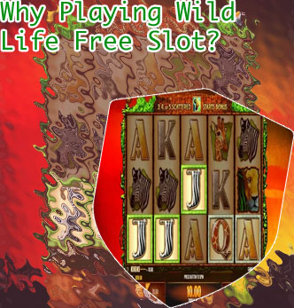 Wildlife free slots